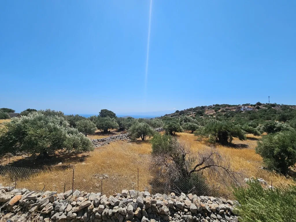 γη προς πώληση 2610 τ.μ Άγιος Νικόλαος Νομός Λασιθίου