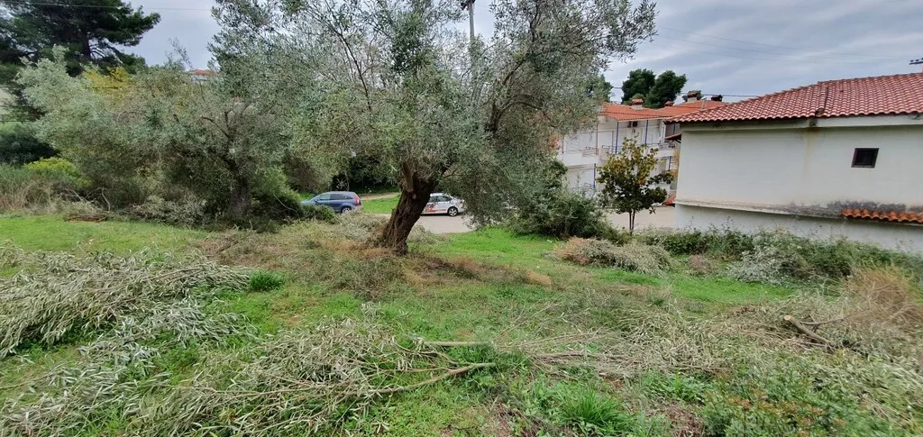 γη προς πώληση 1424 τ.μ Κασσάνδρα Χαλκιδική