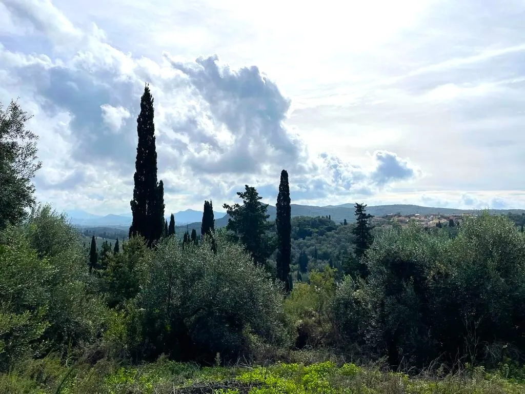 γη προς πώληση 12000 τ.μ Κέρκυρα Νομός Κέρκυρας