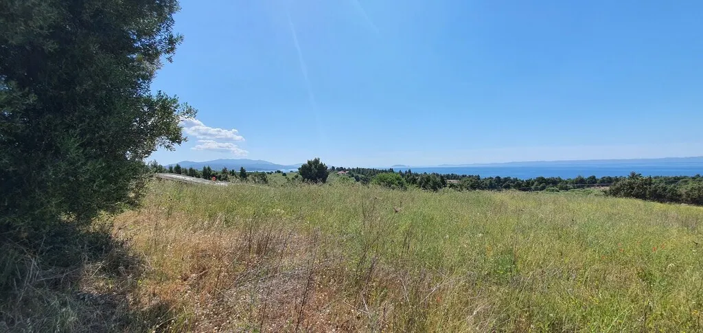 οικόπεδο προς πώληση 4000 τ.μ Σιθωνία Χαλκιδική