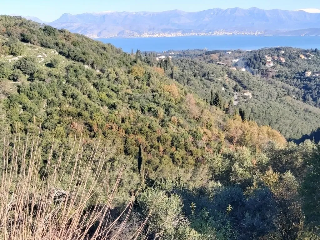 γη προς πώληση 10500 τ.μ Κέρκυρα Νομός Κέρκυρας