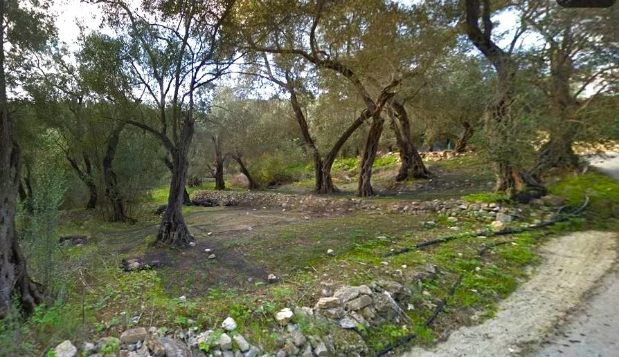 γη προς πώληση 456 τ.μ Παξοί Νομός Κέρκυρας