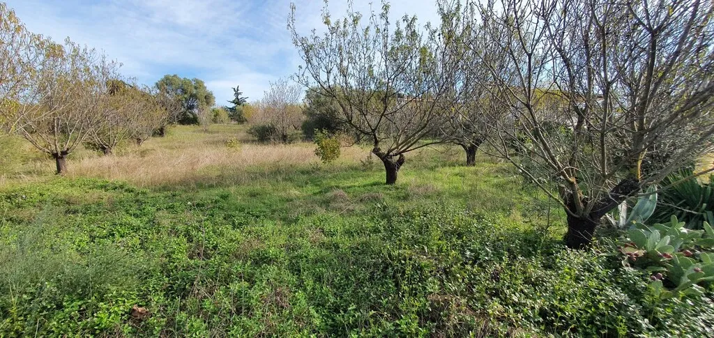 γη προς πώληση 2000 τ.μ Νέα Προποντίδα Χαλκιδική