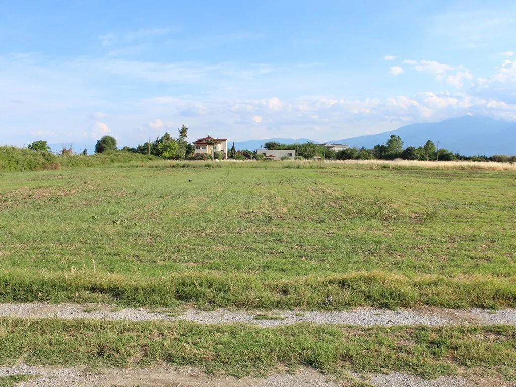γη προς πώληση 2000 τ.μ Κατερίνη Νομός Πιερίας
