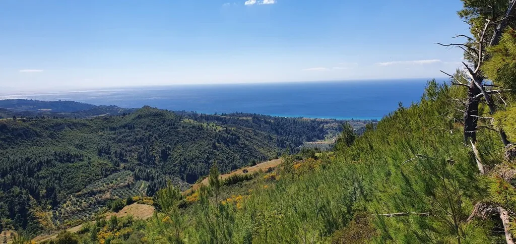 γη προς πώληση 12000 τ.μ Κασσάνδρα Χαλκιδική
