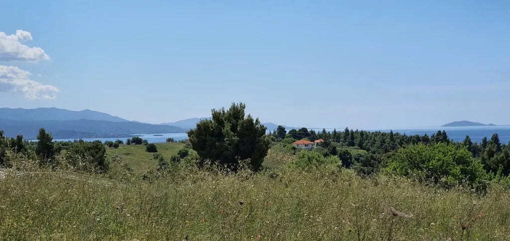 οικόπεδο προς πώληση 4000 τ.μ Σιθωνία Χαλκιδική