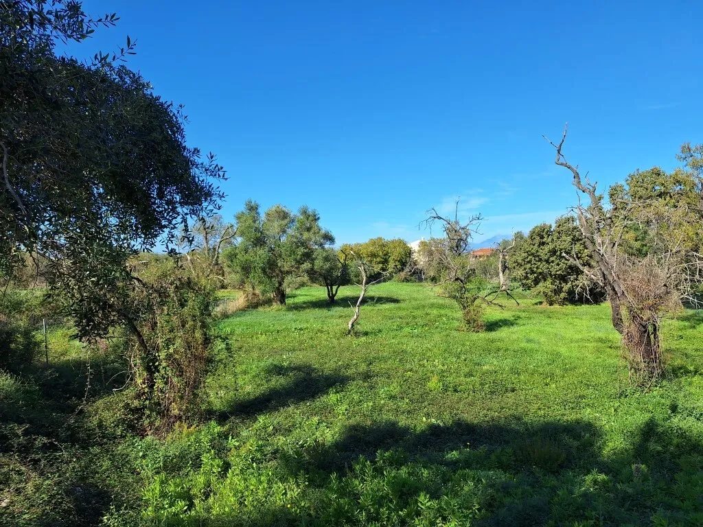 γη προς πώληση 2110 τ.μ Κέρκυρα Νομός Κέρκυρας