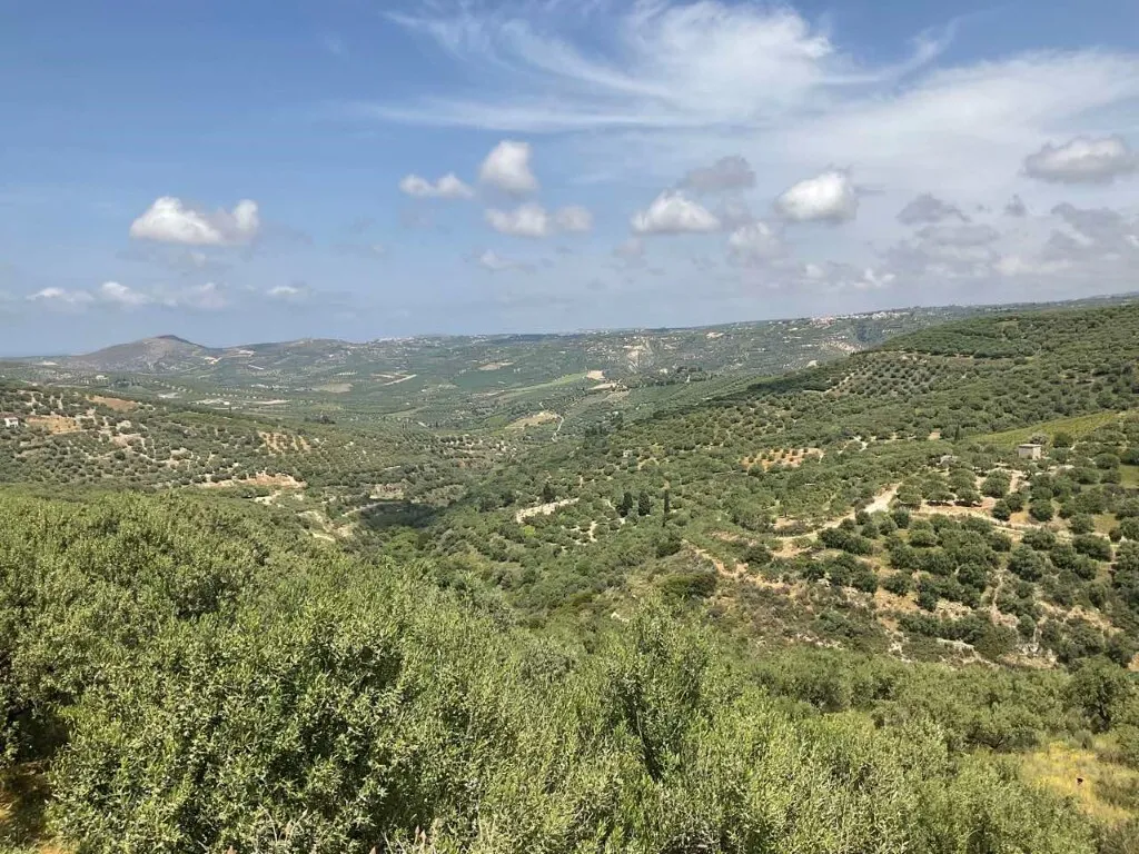 γη προς πώληση 4050 τ.μ Αρχάνες Νομός Ηρακλείου