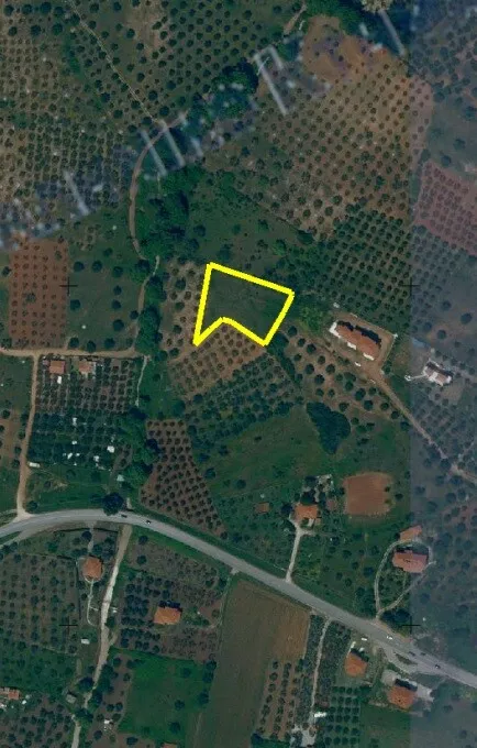 γη προς πώληση 4000 τ.μ Σιθωνία Χαλκιδική