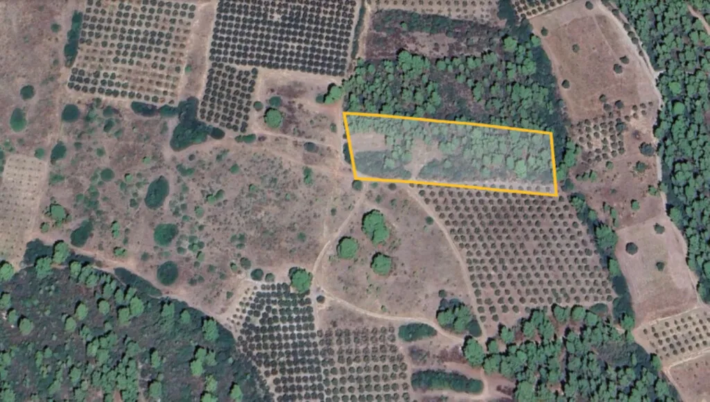 γη προς πώληση 10000 τ.μ Πολύγυρος Χαλκιδική