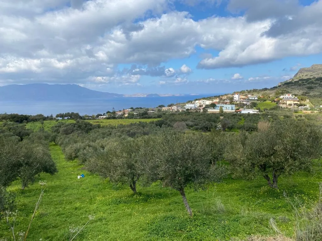 γη προς πώληση 2140 τ.μ Κολυμβάρι Νομός Χανίων