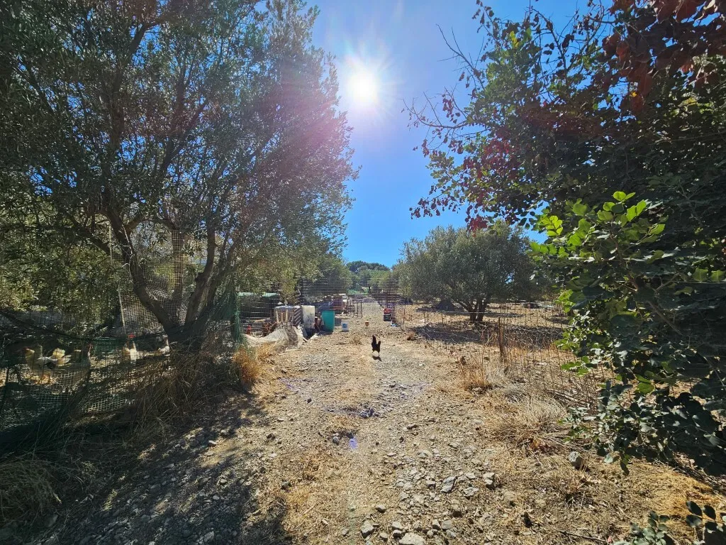 γη προς πώληση 905 τ.μ Άγιος Νικόλαος Νομός Λασιθίου