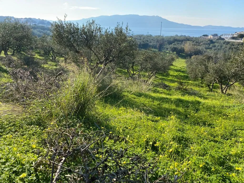 γη προς πώληση 2562 τ.μ Κολυμβάρι Νομός Χανίων