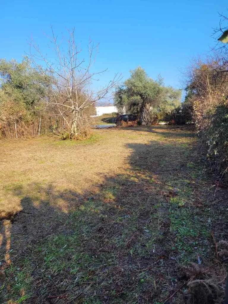 γη προς πώληση 283 τ.μ Θάσος Νομός Καβάλας