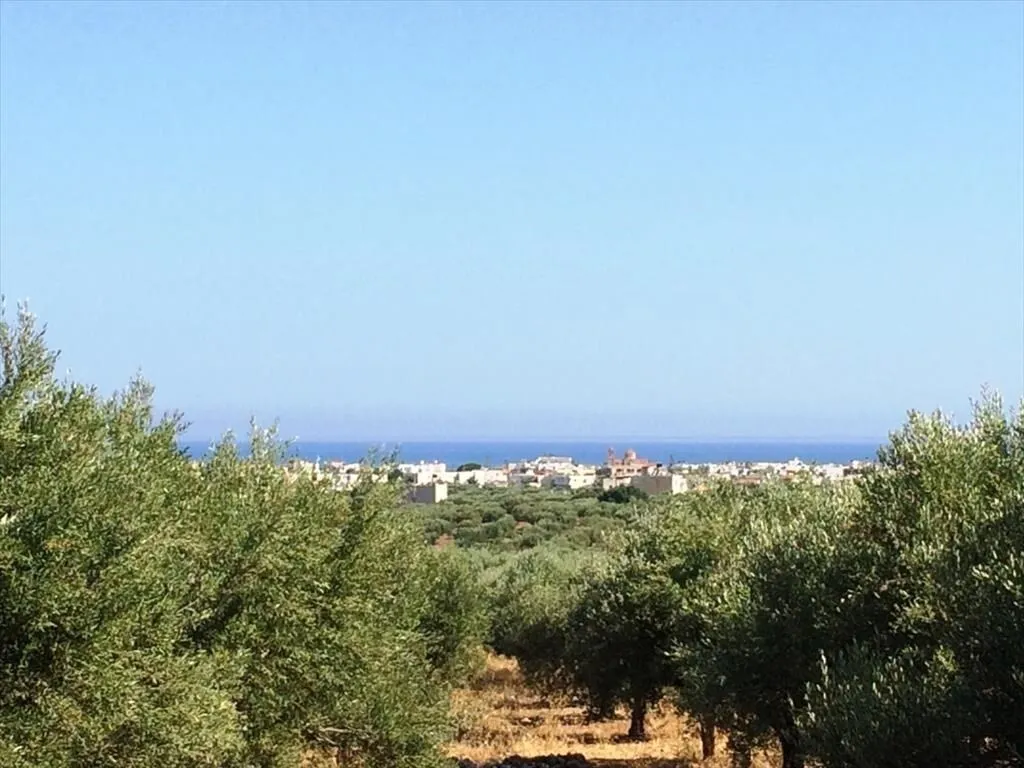 γη προς πώληση 5000 τ.μ Νεάπολη Νομός Λασιθίου