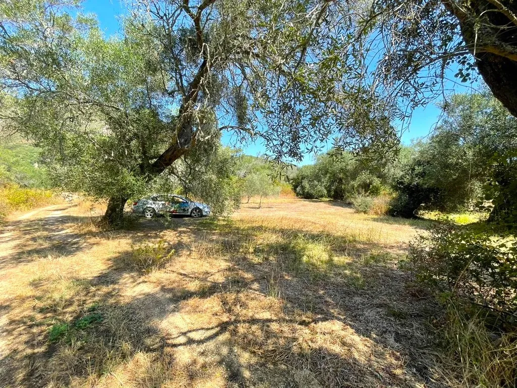 γη προς πώληση 4030 τ.μ Κέρκυρα Νομός Κέρκυρας