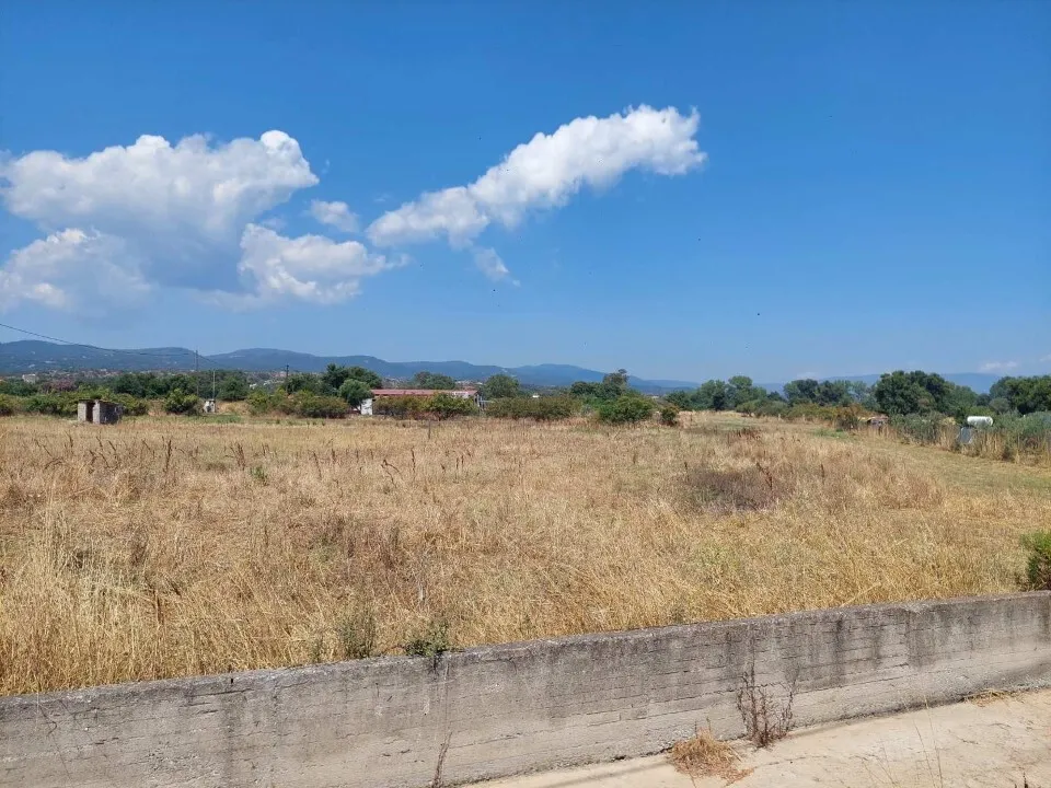 γη προς πώληση 2542 τ.μ Αριστοτέλης Χαλκιδική