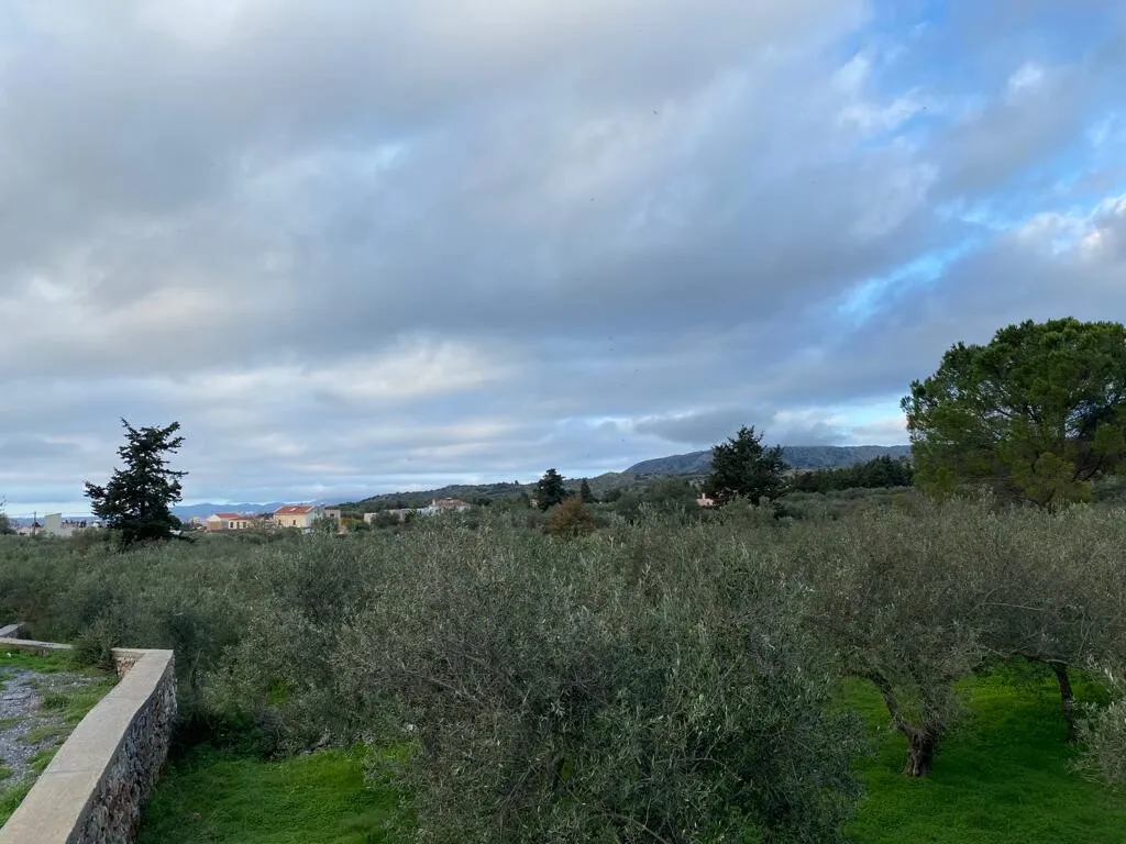 γη προς πώληση 4017 τ.μ Βάμος Νομός Χανίων