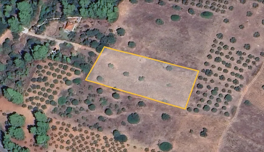 γη προς πώληση 5500 τ.μ Σιθωνία Χαλκιδική