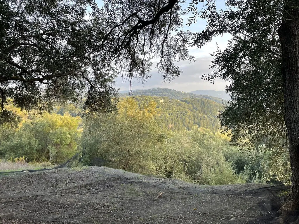 γη προς πώληση 4027 τ.μ Κέρκυρα Νομός Κέρκυρας
