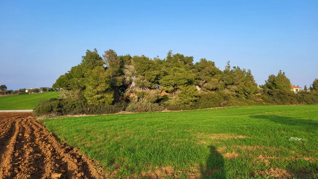 γη προς πώληση 4344 τ.μ Κασσάνδρα Χαλκιδική