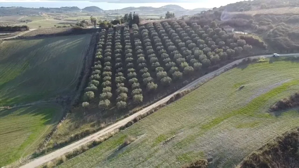 γη προς πώληση 5625 τ.μ Αριστοτέλης Χαλκιδική