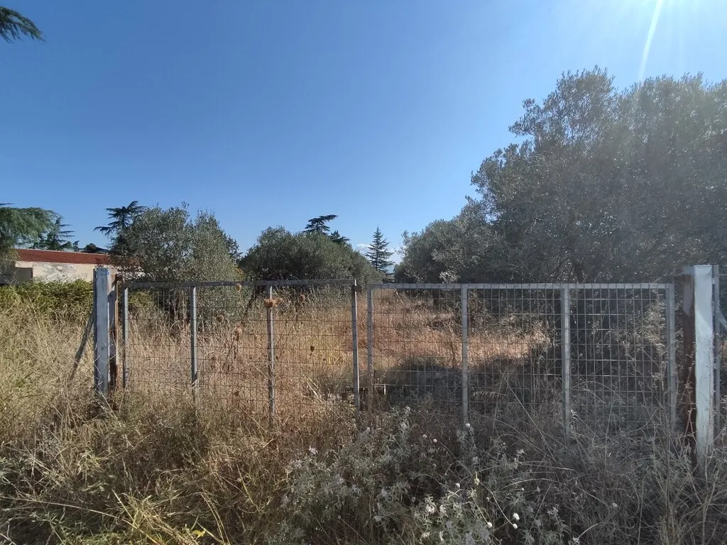 γη προς πώληση 1561 τ.μ Θερμαϊκός Προάστια Θεσσαλονίκης