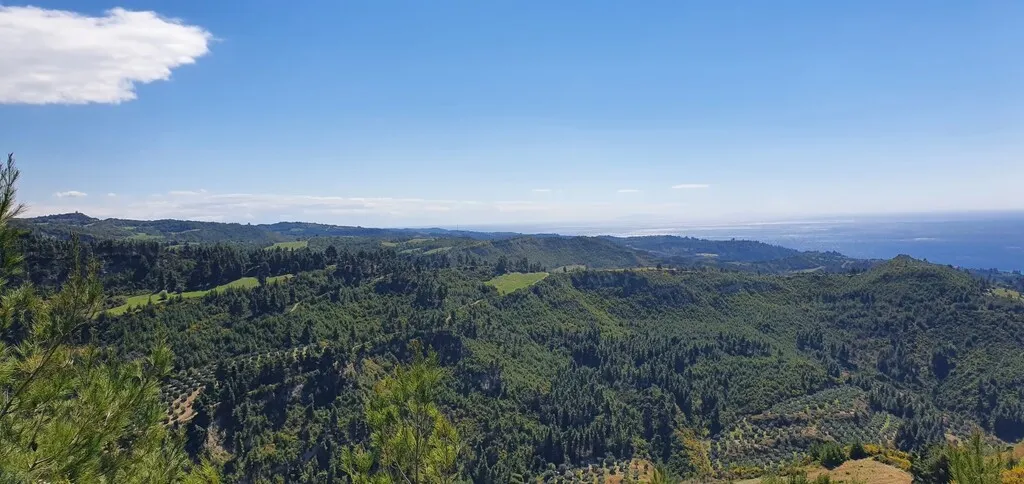 γη προς πώληση 12000 τ.μ Κασσάνδρα Χαλκιδική