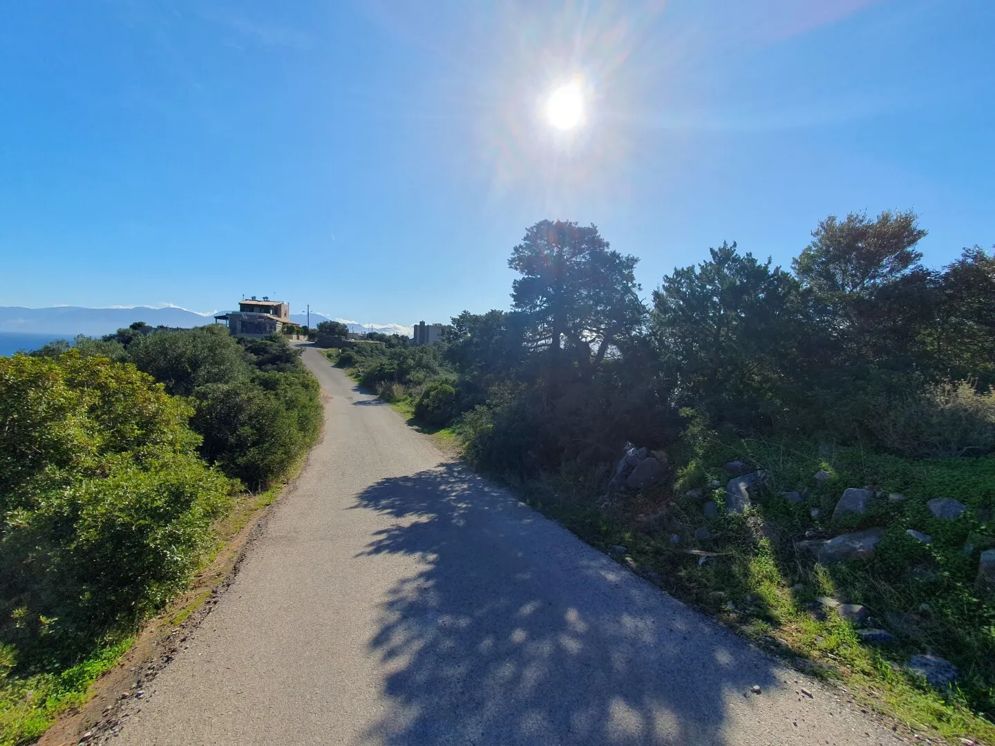 γη προς πώληση 1346 τ.μ Άγιος Νικόλαος Νομός Λασιθίου