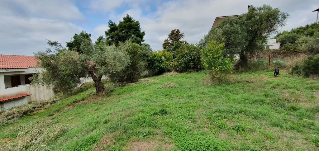 γη προς πώληση 1424 τ.μ Κασσάνδρα Χαλκιδική