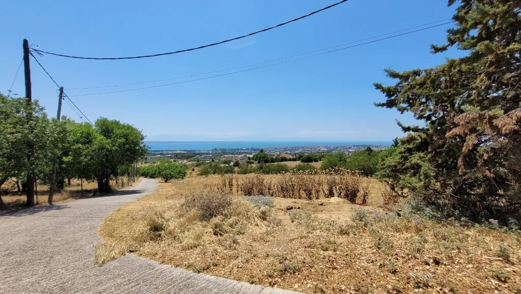 γη προς πώληση 7000 τ.μ Πανόραμα Προάστια Θεσσαλονίκης