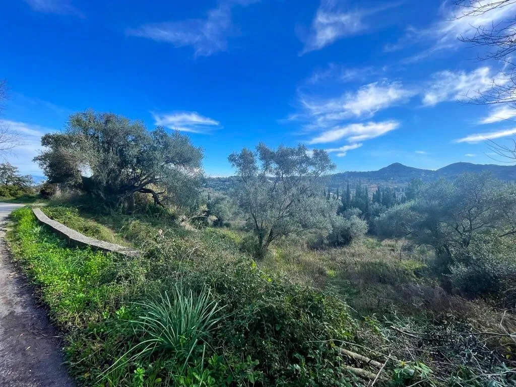 γη προς πώληση 8781 τ.μ Κέρκυρα Νομός Κέρκυρας