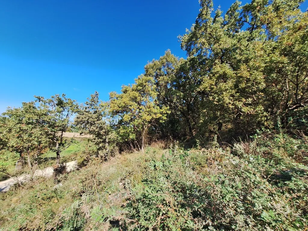 γη προς πώληση 2470 τ.μ Κέρκυρα Νομός Κέρκυρας