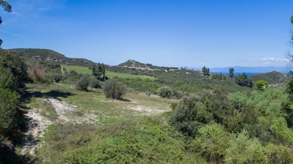γη προς πώληση 6080 τ.μ Κασσάνδρα Χαλκιδική