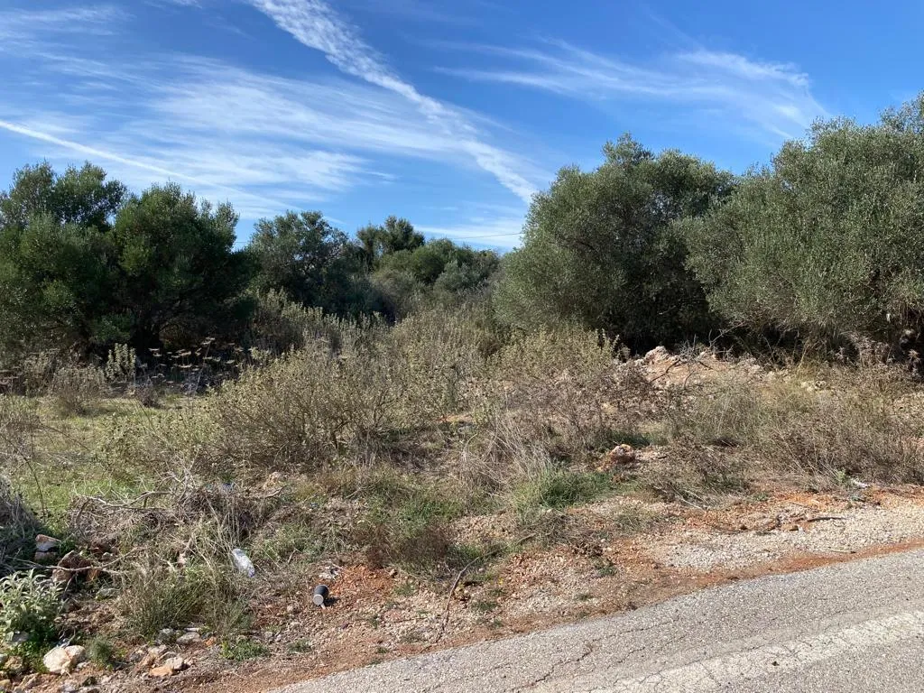 γη προς πώληση 1670 τ.μ Βάμος Νομός Χανίων