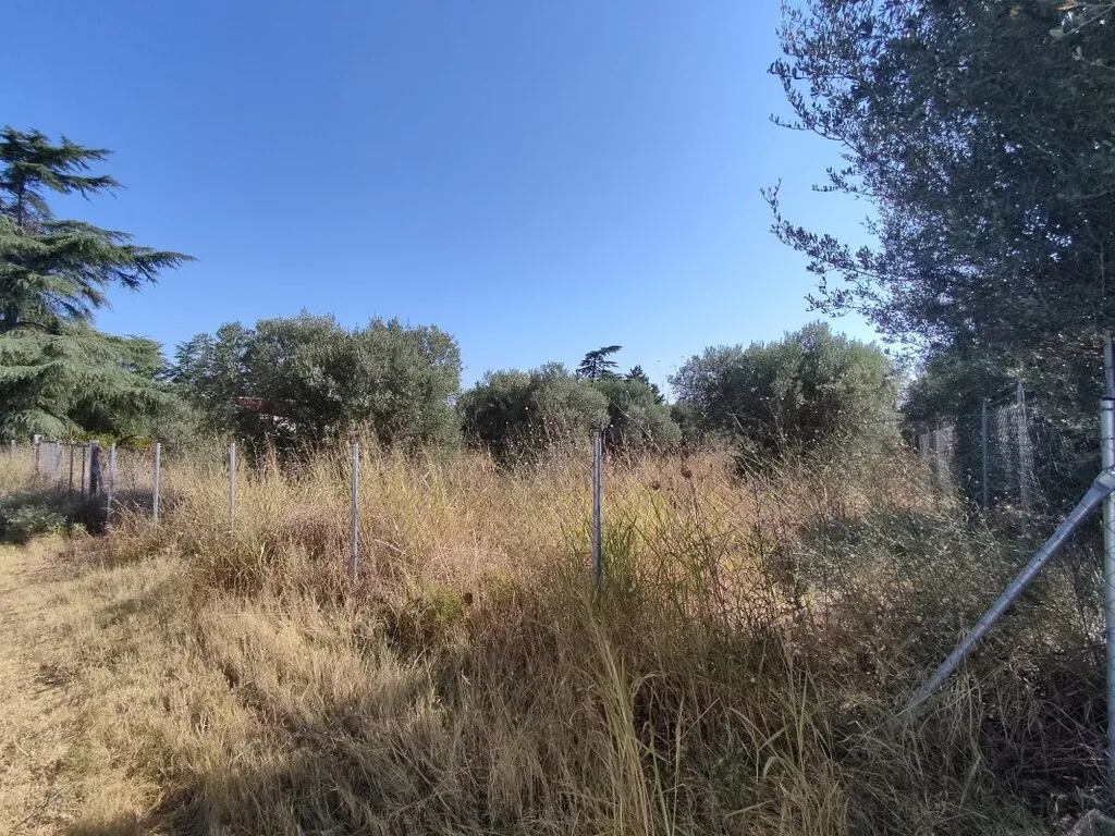 γη προς πώληση 1561 τ.μ Θερμαϊκός Προάστια Θεσσαλονίκης