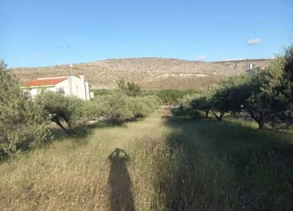 γη προς πώληση 1968 τ.μ Γούβες Νομός Ηρακλείου