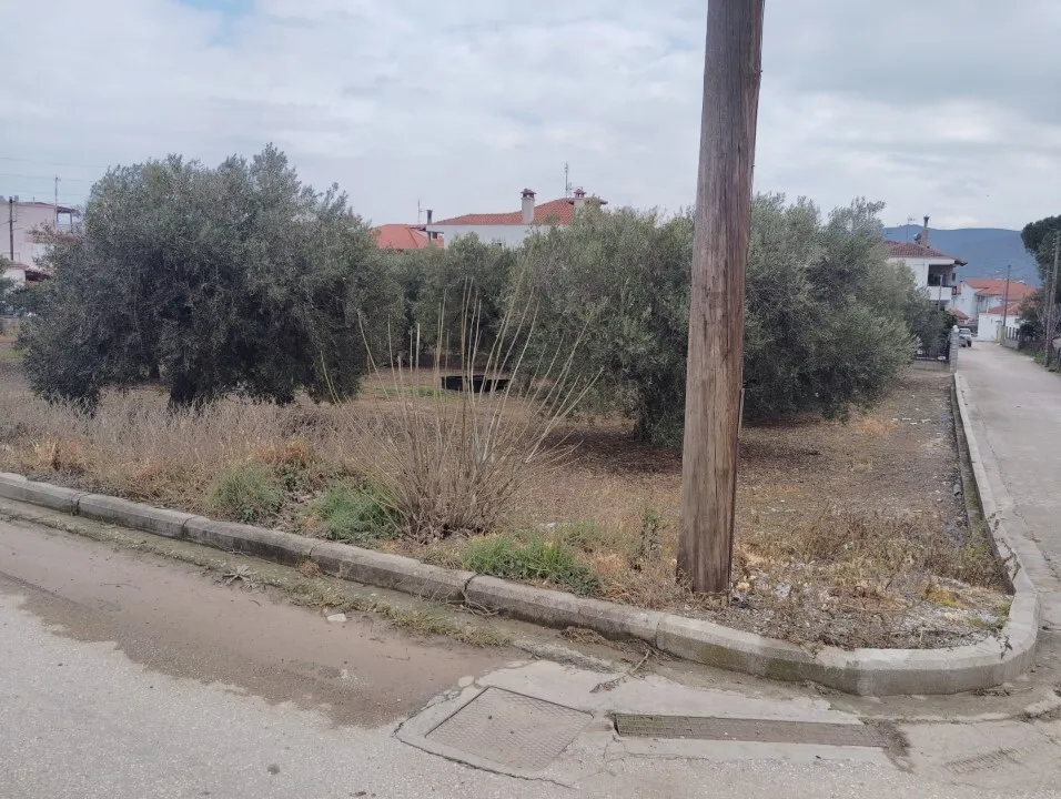 γη προς πώληση 1305 τ.μ Πολύγυρος Χαλκιδική