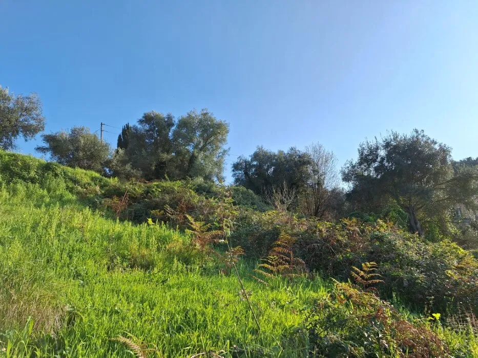 γη προς πώληση 940 τ.μ Κέρκυρα Νομός Κέρκυρας