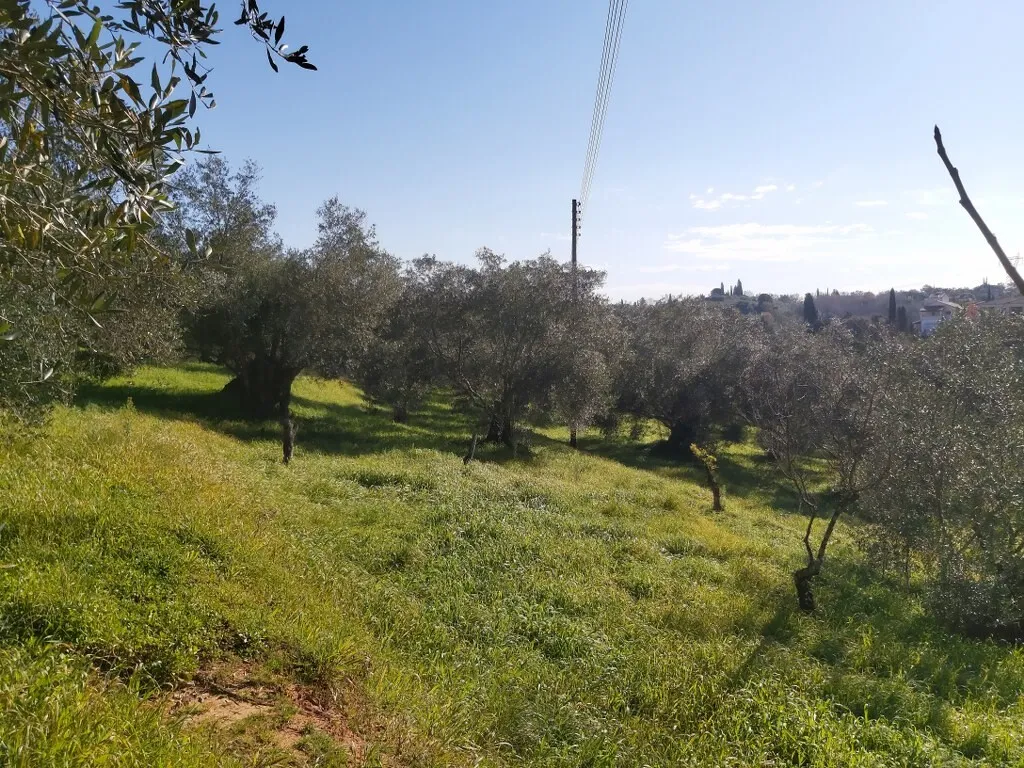 γη προς πώληση 9000 τ.μ Κέρκυρα Νομός Κέρκυρας