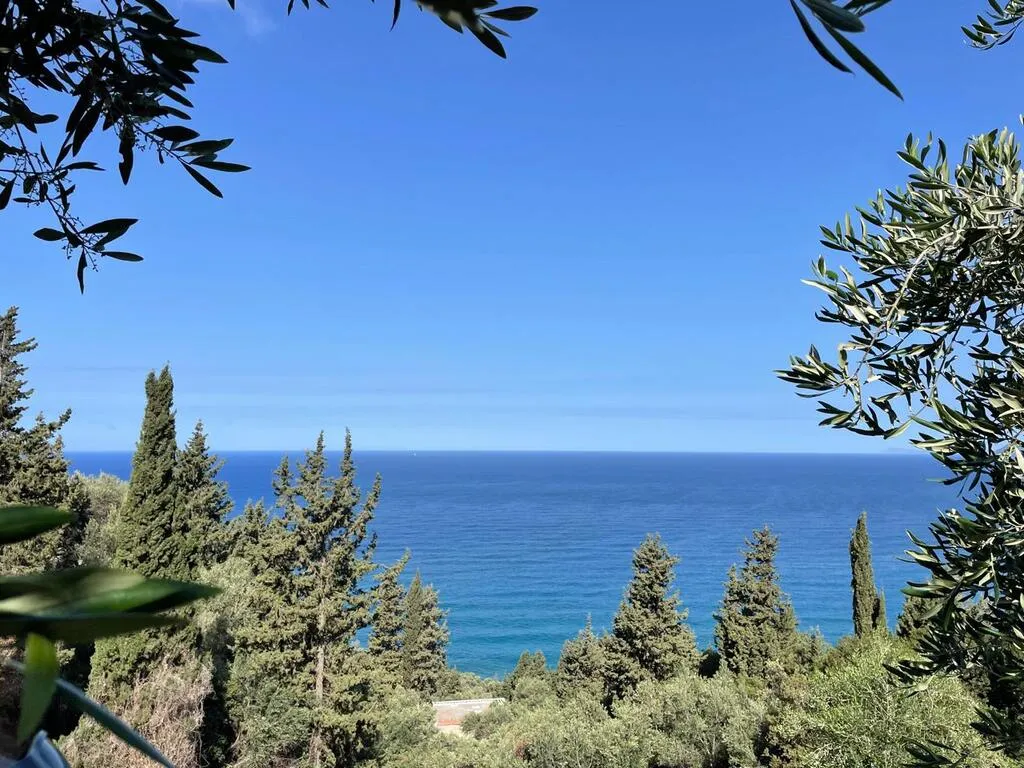 γη προς πώληση 4000 τ.μ Κέρκυρα Νομός Κέρκυρας