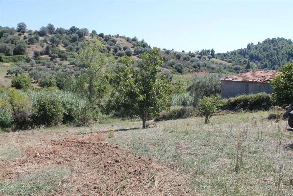 οικόπεδο προς πώληση 1441 τ.μ Κασσάνδρα Χαλκιδική