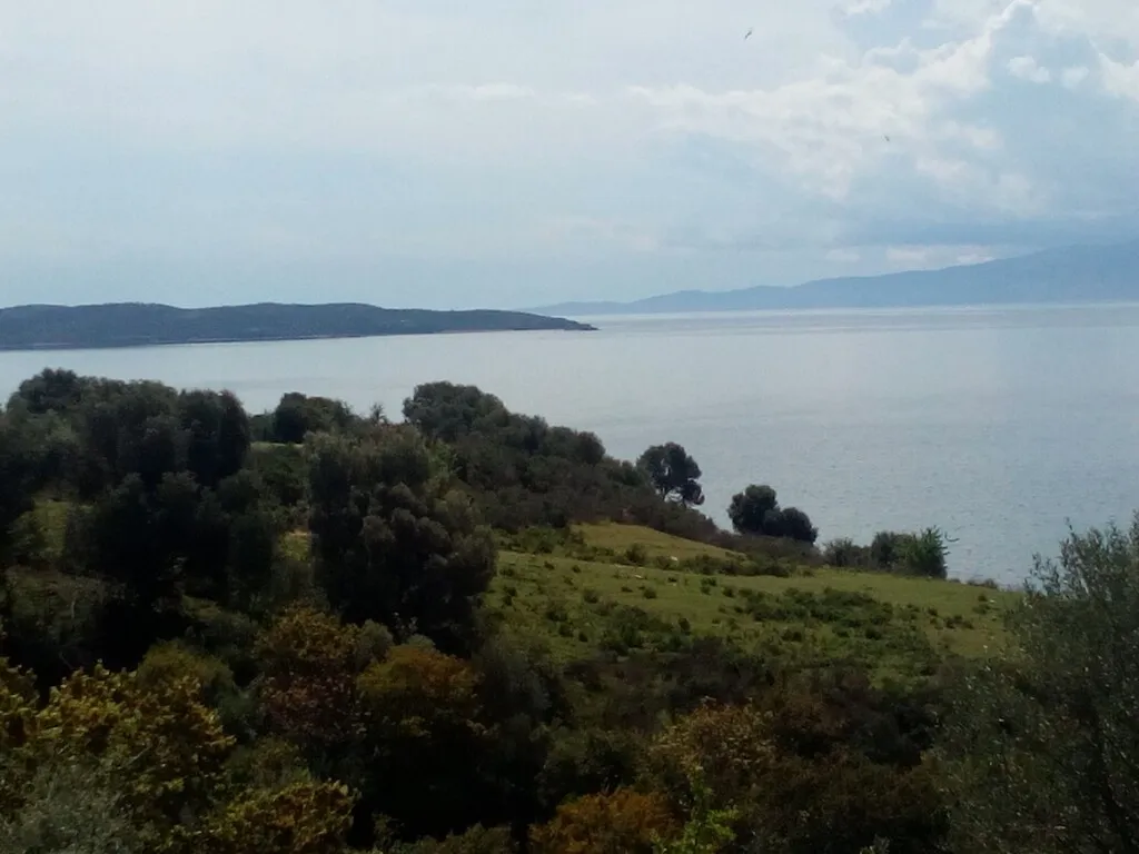 γη προς πώληση 8500 τ.μ Αριστοτέλης Χαλκιδική