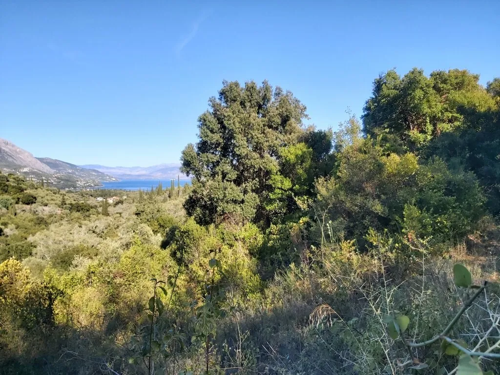 γη προς πώληση 8250 τ.μ Κέρκυρα Νομός Κέρκυρας