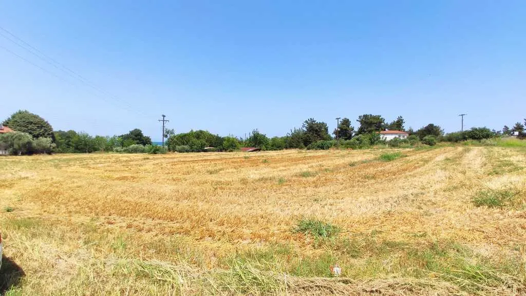 γη προς πώληση 5850 τ.μ Πύδνα Νομός Πιερίας