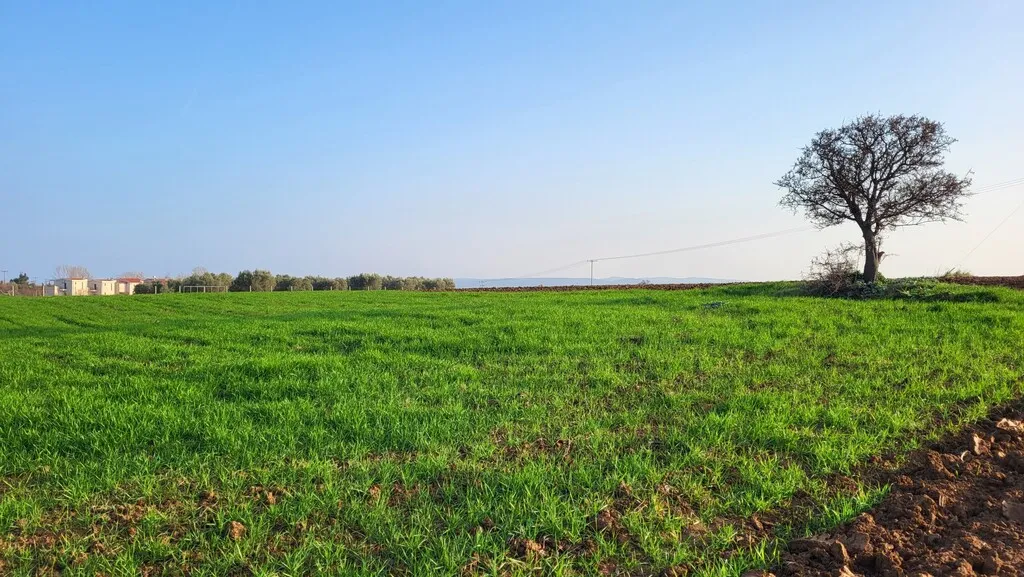γη προς πώληση 4344 τ.μ Κασσάνδρα Χαλκιδική