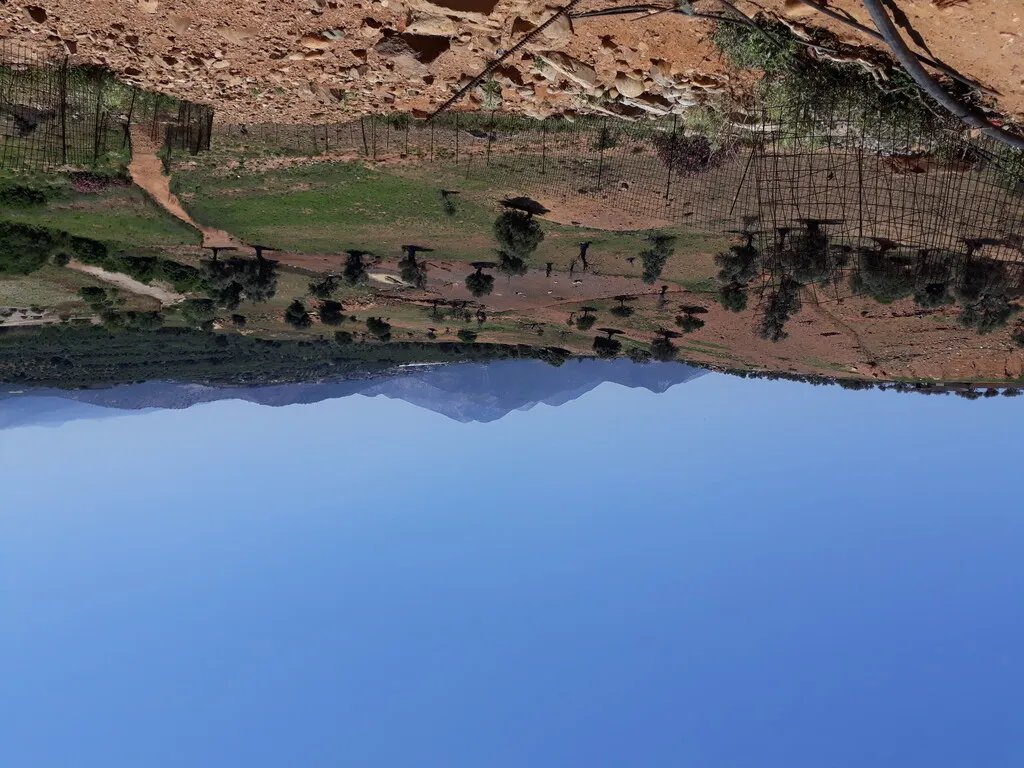 γη προς πώληση 826 τ.μ Γεροπόταμος Νομός Ρεθύμνου