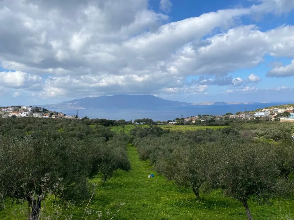 γη προς πώληση 2140 τ.μ Κολυμβάρι Νομός Χανίων