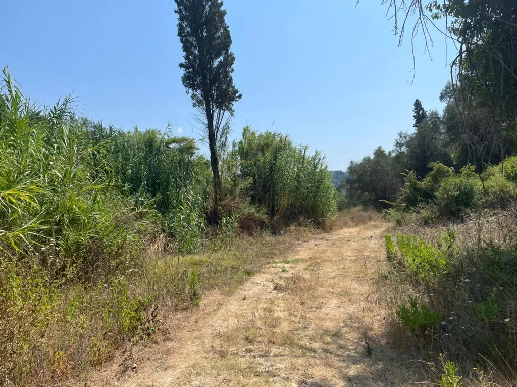 γη προς πώληση 11450 τ.μ Κέρκυρα Νομός Κέρκυρας
