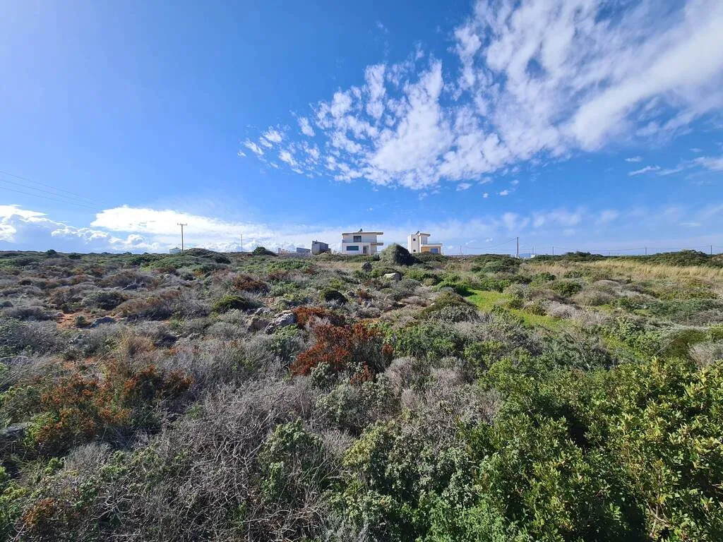 γη προς πώληση 8131 τ.μ Πελεκάνος Νομός Χανίων